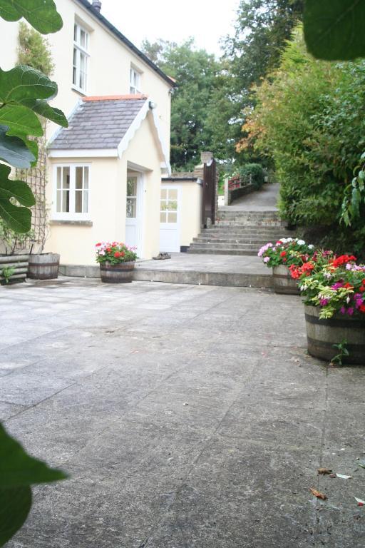 Wilsham Farm Bed and Breakfast Lynton Exterior foto